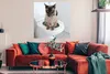MuchoWow® Poster Eine birmanische Katze sitzt auf der Produktbild-Vorschau 2