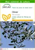 SAFLAX  - Olivier - 20 graines - Avec substrat - Olea Voir les images du produit 1