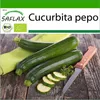SAFLAX - BIO - Cuketa - Nero di Milano - Cucurbita pepo - 6 Náhled obrázku produktu 10