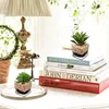 2er Set Künstliche Sukkulenten Glas Topf Deko Wohnzimmer Produktbild-Vorschau 3