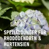 Spezialdünger COMPO Vital für Hortensien u. Rhododendren 1 Produktbild-Vorschau 5