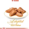 ROYAL CANIN FBN Maine Coon - Nassfutter für Katzen - Beutel Produktbild-Vorschau 6
