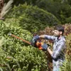 Black & Decker BEHTS301-QS power hedge trimmer Double blade Anteprima dell’immagine prodotto 19