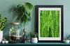 Bild 20x30 MDF-Rahmen, Wandkunst Bambuswald Produktbild-Vorschau 2