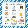 20 Servietten Bayerisch Schnellkurs - Bayrisch lernen Produktbild-Vorschau 1