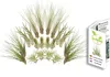 Tillandsien 20er-Mix, Tillandsia, Bromeliengewächs Produktbild-Vorschau 4