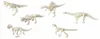 Set di scavo per scheletri di dinosauro con scalpello e Anteprima dell’immagine prodotto 12