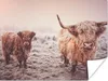 MuchoWow® Poster Schottische Highlander - Schnee - Sonne Produktbild-Vorschau 1