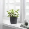 IKEA PERSILLADE Übertopf dunkelgrau Keramik 12 cm Produktbild-Vorschau 2