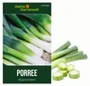 Porree Blaugrüner Winter Samen - Allium porrum - Produktbild-Vorschau 1