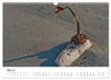 Helgoland (Wandkalender 2027 DIN A3 quer), CALVENDO Produktbild-Vorschau 8