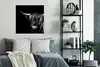 MuchoWow® Poster Schottischer Highlander - Horn - Schwarz - Produktbild-Vorschau 4