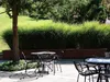Stauden Gänge 1 x Miscanthus sinensis 'Gracillimus' im 1 Produktbild-Vorschau 4