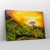 Bild auf Leinwand - Leinwandbild - Berg Baum Pfad Hügel - Produktbild-Vorschau 4