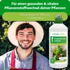 Fertilizzante idroponico Purgrün 1 litro Anteprima dell’immagine prodotto 2