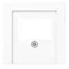 A white electrical wall plate with a blank rectangular insert and a single screw in the center. Produktbild-Vorschau