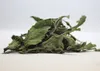 SAFLAX  - Chanvre d'eau - 100 graines - Stevia Voir les images du produit 6