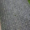 200x400 cm Tappeto erboso in rotoli Profi Garden Anteprima dell’immagine prodotto 6