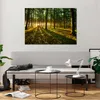Bilder auf glas - Wald grün Sonnenstrahlen Natur - 100x70cm Produktbild-Vorschau 6