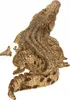Schleich Wild Life Krokodil, Spielfigur Produktbild-Vorschau 7