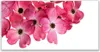 Tulup Leinwand-Bilder 140x70 Wandbild Canvas Kunstdruck Produktbild-Vorschau 1