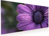 Küchenrückwand Spritzschutz Glas mit Motiv Lila Produktbild-Vorschau 1