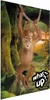 Posterpapier Poster - What's Up? 60x90 cm Für Kinder Produktbild-Vorschau 1