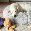 cuccia per cane e gatto, Furrever Friends Fluffy Bed, letto Anteprima dell’immagine prodotto 3