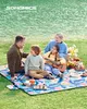 A family having a picnic by a lake. Náhled obrázku produktu