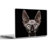 MuchoWow® Laptop Aufkleber Sticker Cover Katze - Haustiere Produktbild-Vorschau 6