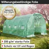 BRAST Gewächshaus Foliengewächshaus mit Stahlfundament | Produktbild-Vorschau 2