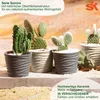 Übertopf Sonora ø 10 Anthrazit Produktbild-Vorschau 3
