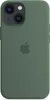 iPhone 13 mini Silikon Case mit MagSafe - Eukalyptus Produktbild-Vorschau 2