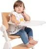 Chicco Meraviglia Esszimmerstuhl – Fossil | Chicco Produktbild-Vorschau 8