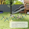 PawHut Agility Set pre psov – 4-dielna agility výbava s Náhľad obrázku produktu 7
