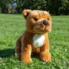 Peluche Staffordshire Bull Terrier Marrone 30cm Eco-f. Anteprima dell’immagine prodotto 5