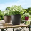 LECHUZA CLASSICO Color 35 set complet sable brun Voir les images du produit 7