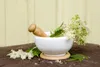 SAFLAX  - Regina dei prati - 500 semi - Filipendula Anteprima dell’immagine prodotto 7