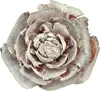 Zedernzapfen Rosenform 4-6cm Weiß/Natur 50 St., 50 Stück Produktbild-Vorschau 2