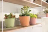 Lechuza Obal Classico Color Deco, průměr 10 cm, bílá Náhled obrázku produktu 7