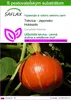 SAFLAX - Tekvica - Japonsko Hokkaido - Cucurbita maxima - Náhľad obrázku produktu 1