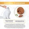 GOURMET Gold Rabbit - cibo umido per gatti - 85g Anteprima dell’immagine prodotto 9