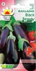 Aubergine Samen Schwarze Schönheit Lila Birne Der Liebe 1G Produktbild-Vorschau 28