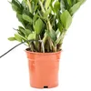 10x Gartenbewässerung automatisches Tropfsystem 405 Midi Produktbild-Vorschau 4