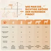 A size chart illustrating how to find the right dog box size, with diagrams of dogs and corresponding measurements. Produktbild-Vorschau