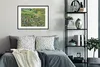MuchoWow® MuchoWow® Gerahmtes Poster Langes Gras mit Produktbild-Vorschau 2
