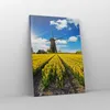 Bild auf Leinwand - Leinwandbild - Einteilig - Tulpen Produktbild-Vorschau 4