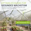 JUSKYS® Gewächshaus 3,6 m², inkl. Fundament, Produktbild-Vorschau 3