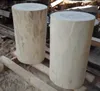 Średnica pnia jesionu 26-32 cm, wysokość 45 cm, lity Podgląd zdjęcia produktu 4