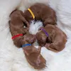 12 Stück Hundehalsband, Welpen-ID-Halsband, verstellbares Produktbild-Vorschau 5